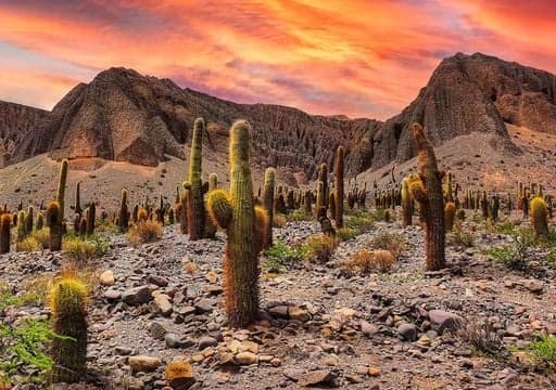 Imagen de Salta